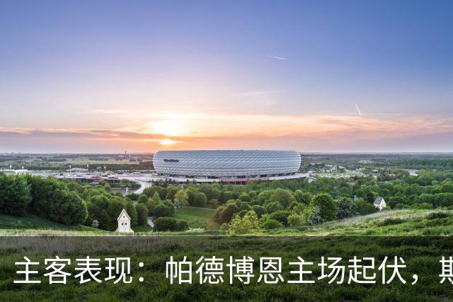 主客表现：帕德博恩主场起伏，斯图加特客场有胜有负
