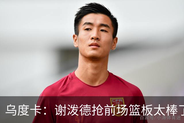 乌度卡：谢泼德抢前场篮板太棒了，我很喜欢