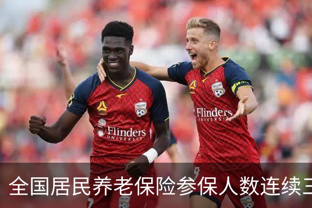 全国居民养老保险参保人数连续三年减少