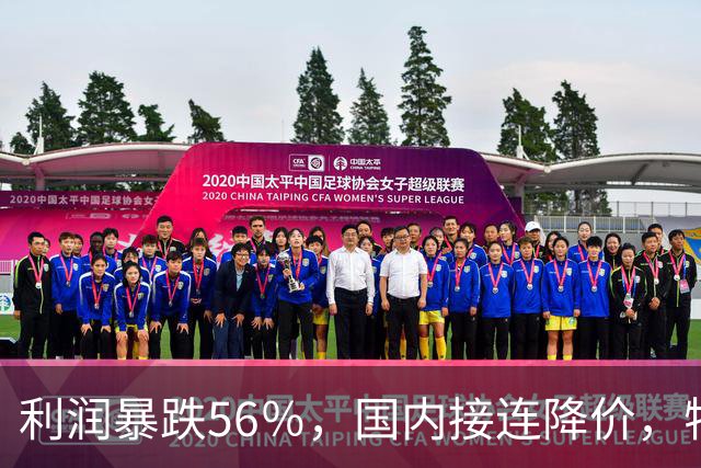 利润暴跌56％，国内接连降价，特斯拉的中国智驾何时兑现？