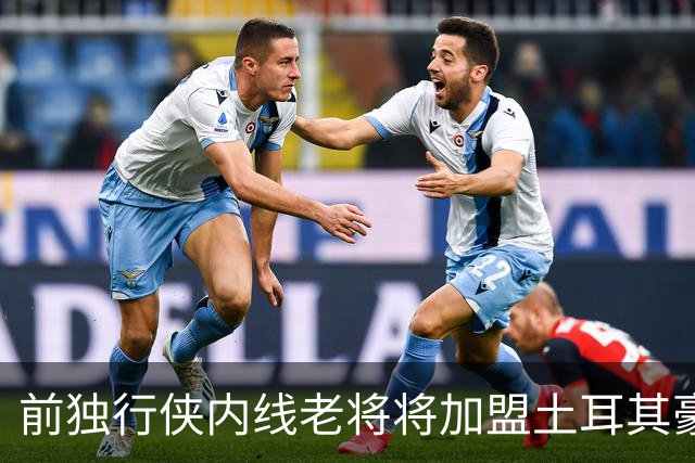 前独行侠内线老将将加盟土耳其豪门，他可能很难回归NBA赛场了？