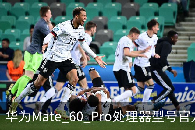 华为Mate 60 Pro处理器型号官方首次“揭秘”，搭载麒麟9000S与30、40、50、90“同台竞技”