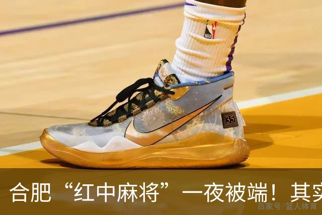 合肥“红中麻将”一夜被端！其实这些都是杀猪盘