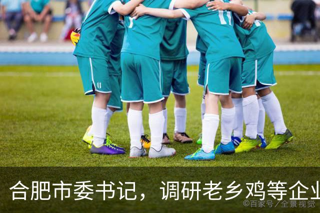 合肥市委书记，调研老乡鸡等企业