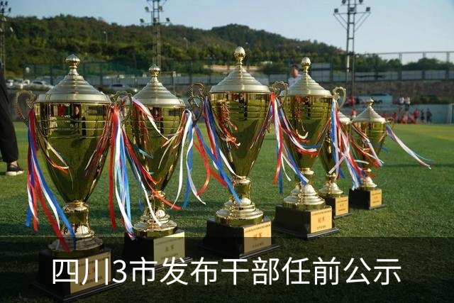 四川3市发布干部任前公示