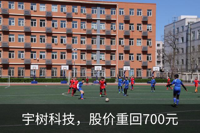 宇树科技，股价重回700元