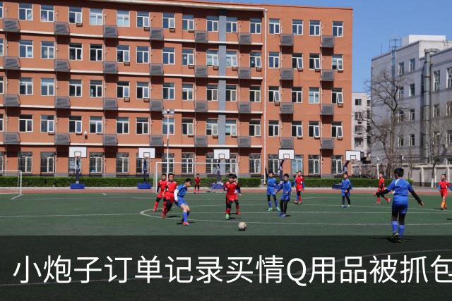 小炮子订单记录买情Q用品被抓包，开档s袜、震d棒！