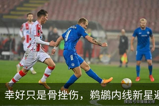 幸好只是骨挫伤，鹈鹕内线新星避免了重大伤病的发生？