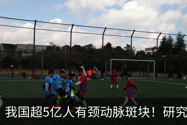 我国超5亿人有颈动脉斑块！研究证实：斑块可以消退！有5点建议