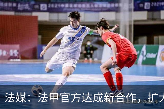 法媒：法甲官方达成新合作，扩大酒吧等公共场所转播