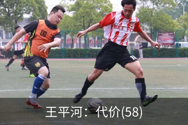 王平河：代价(5/8)