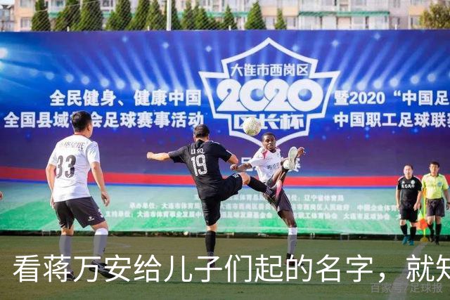 看蒋万安给儿子们起的名字，就知道他骨子里的中国人身份，藏不住