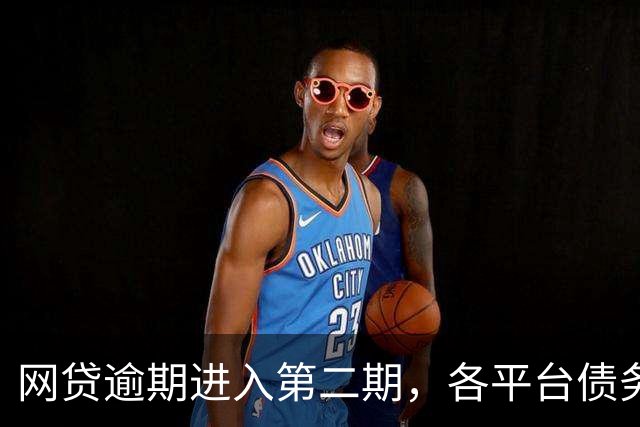 网贷逾期进入第二期，各平台债务情况，失业无稳定收入下只能看看