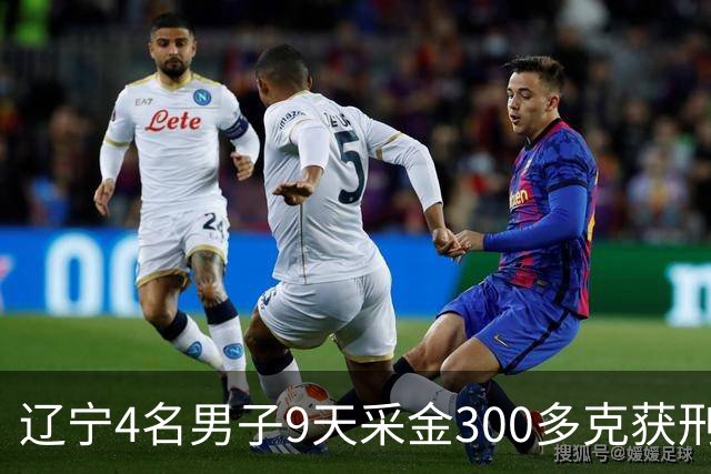 辽宁4名男子9天采金300多克获刑，村里砂土为何能淘金？土法筛金对人体和环境有何危害？
